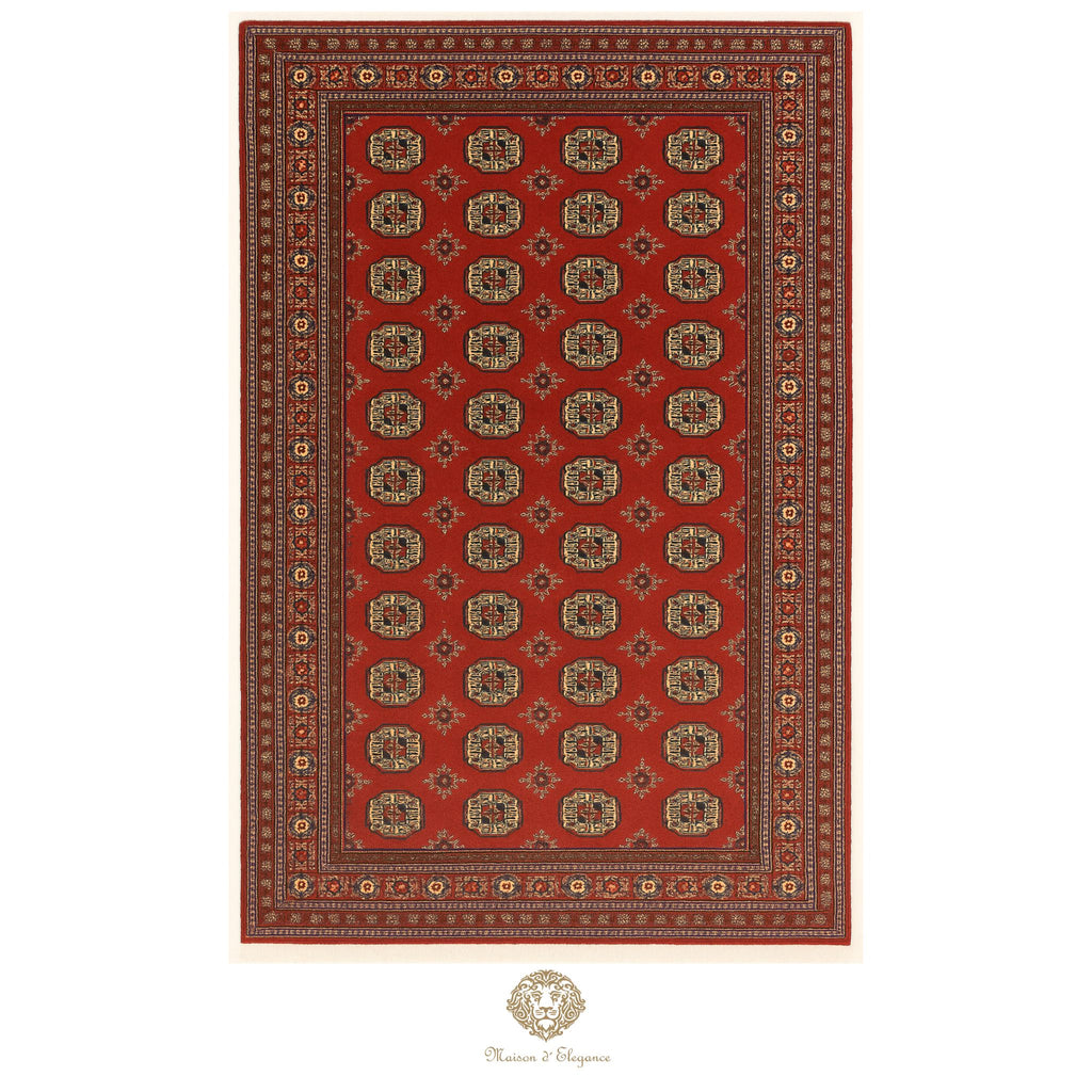 Red patterned rug with intricate designs on a white background